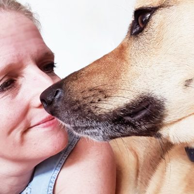 Die Sprache der Tiere Tierkommunikation