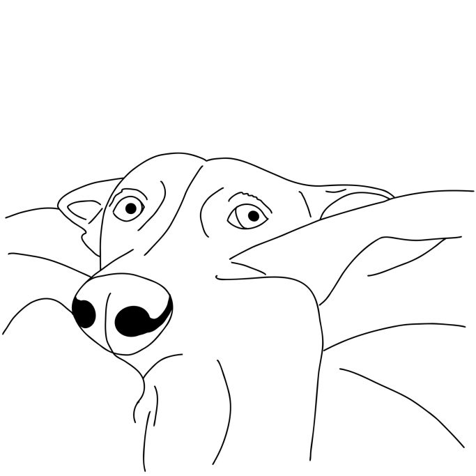 gezeichnete Hundebilder